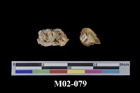 藏品(正長石)的圖片